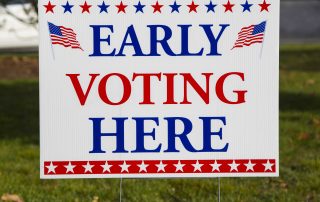 Corrugated voting sign in yard